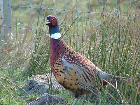 Baudins Accommodation - Sydney Tourism 6