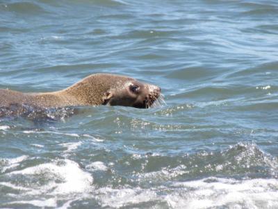 Baudins Accommodation - Sydney Tourism 5