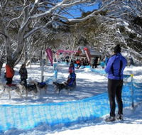 Cloud 9 Alpine Lodge