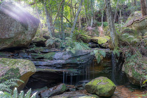 Waterfall Springs Retreat And Wildlife Sanctuary - Sydney Tourism 3