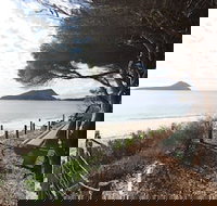 Beachfront Shoal Bay - Sydney Tourism