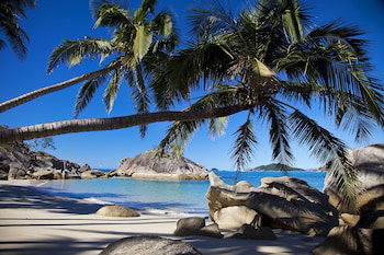 Dunk QLD Sydney Tourism