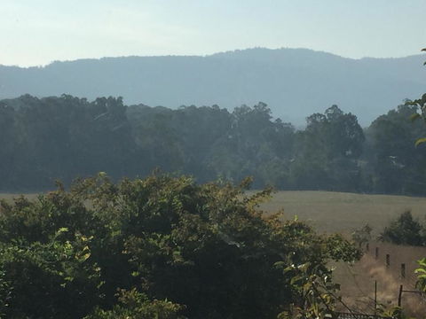 Oaktree Guest House - Sydney Tourism 6