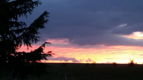 Jarrah Lodge - Sydney Tourism 3