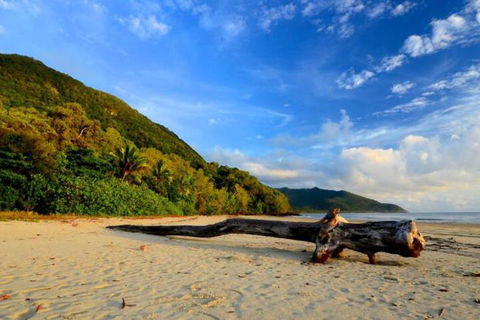 Daintree Rainforest Beach House - Sydney Tourism 7