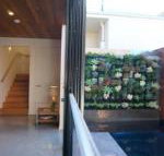 Stella on Stevens - Sydney Tourism