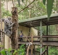 Springwood Meditation Vacation Center