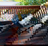 The Little Jungle Studio