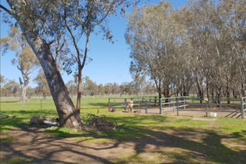 Jindera Park - Sydney Tourism 2