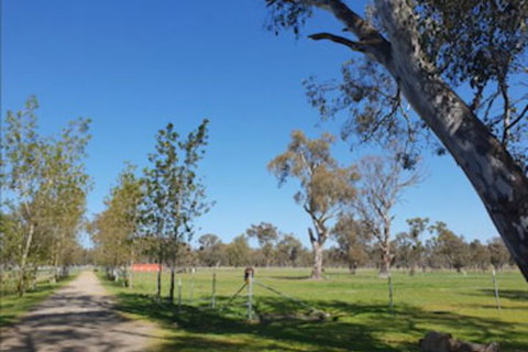Jindera Park - Sydney Tourism 1