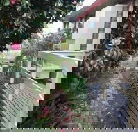 The Glen Family House