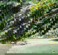 Sanctuary in The Pocket