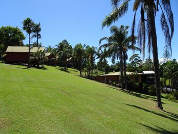 11 Korora Palms 1 Bedroom Bure - Sydney Tourism 2