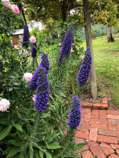 Barossa Barn Bed & Breakfast - Sydney Tourism 2
