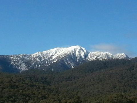 Alps Lodge - Sydney Tourism 4