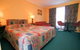 Heemskirk Motor Hotel - thumb 5