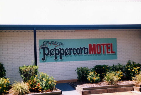 Peppercorn Motel - Sydney Tourism 4