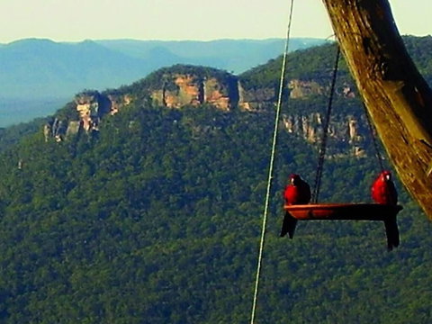 Valley Of The Waters B&B - Sydney Tourism 3