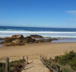Bellbird Cottage B  B - Sydney Tourism