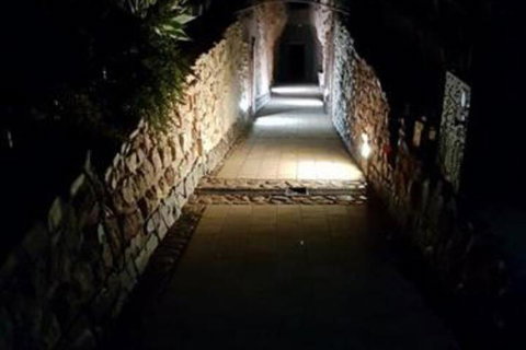 Zen Underground B & B - Sydney Tourism 2