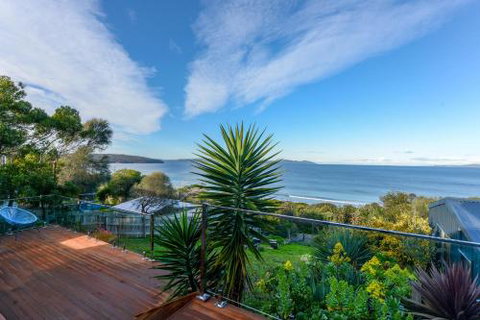 Jacks Nest - Sydney Tourism 6