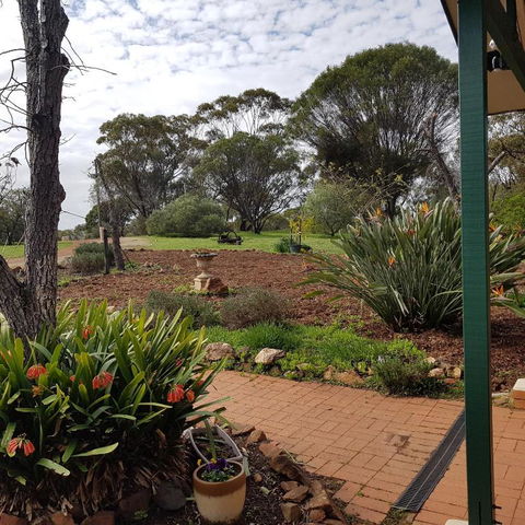 Pecan Hill BNB - Sydney Tourism 4