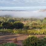 Pecan Hill BNB - Sydney Tourism 0