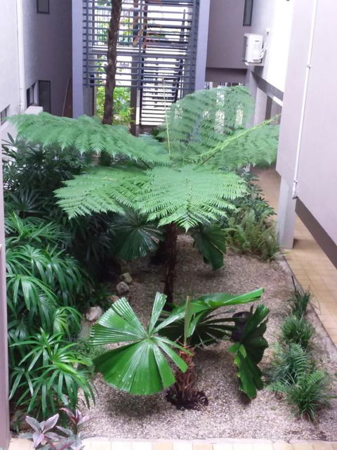 Jackies Studio Apartment - Sydney Tourism 5