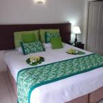 Jackies Studio Apartment - Sydney Tourism 0