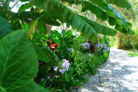 Mullaway Beach Holiday Cabins - Sydney Tourism 4