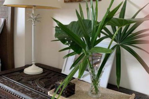 Mullaway Beach Holiday Cabins - Sydney Tourism 3