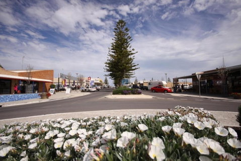 Ceduna Foreshore Caravan Park - Sydney Tourism 1
