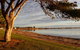 Ceduna Foreshore Caravan Park - thumb 5