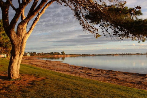 Ceduna Foreshore Caravan Park - Sydney Tourism 5