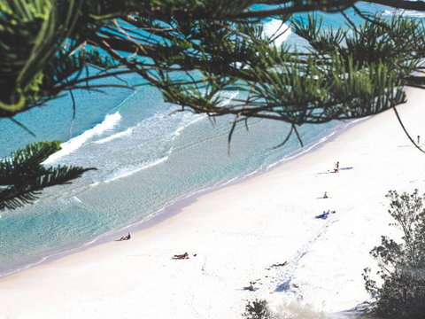 DAVIES STREET 3 / 14 MOLLYMOOK - Sydney Tourism 1