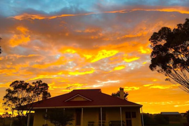Wilmington SA Sydney Tourism