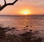 Paradise Beach Apartments