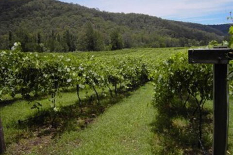 Cedar Creek Cottages - Sydney Tourism 2