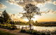 Homewood Cottages - thumb 3