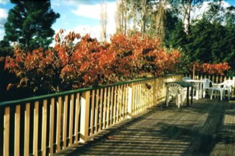 Heronswood House B & B - Sydney Tourism 7