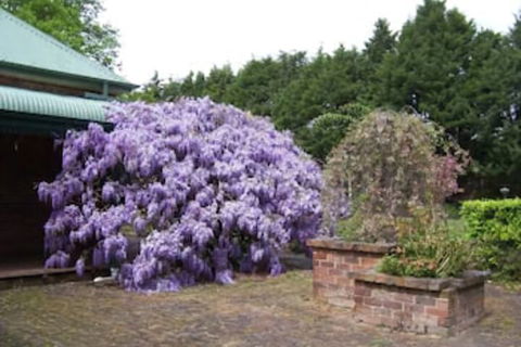 Heronswood House B & B - Sydney Tourism 2