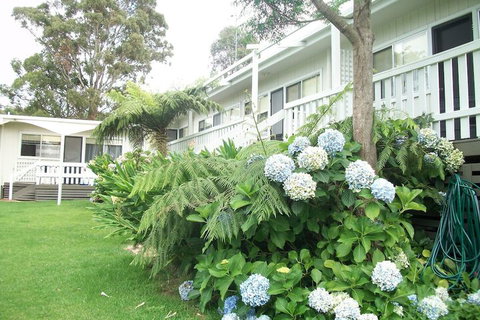 Top Of The Lake Units - Sydney Tourism 2