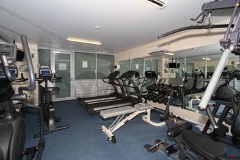 Resort Apartment 8224 - Sydney Tourism 5