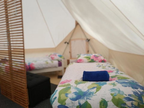 Glamping At Zeehan Bush Camp - Sydney Tourism 6