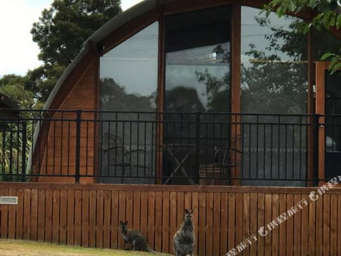 Bruny Island Accommodation 43 Degrees Beachside Studio Spa Apartments (1) - Sydney Tourism 1