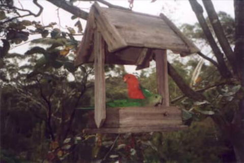 Arcadia Cottage - Sydney Tourism 2