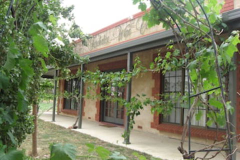 Under The Vines - Sydney Tourism 0