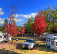 Beechworth Lake Sambell Caravan Park - Sydney Tourism