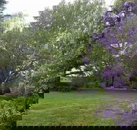 Petersons Armidale Winery  Guesthouse