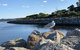 Albany Foreshore Guest House - thumb 3